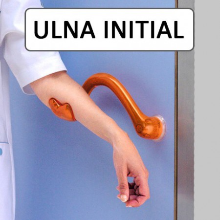 Ulna Initial